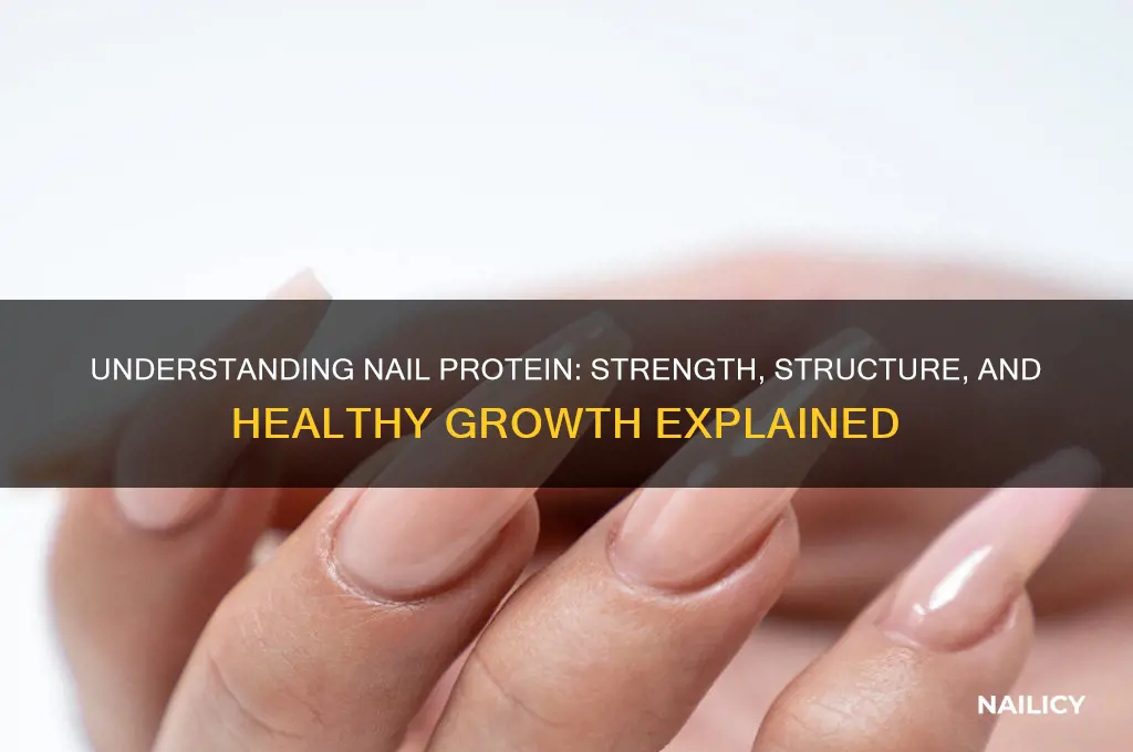 what is a nail protein
