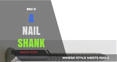 Understanding the Nail Shank: Essential Component in Fastening and Construction