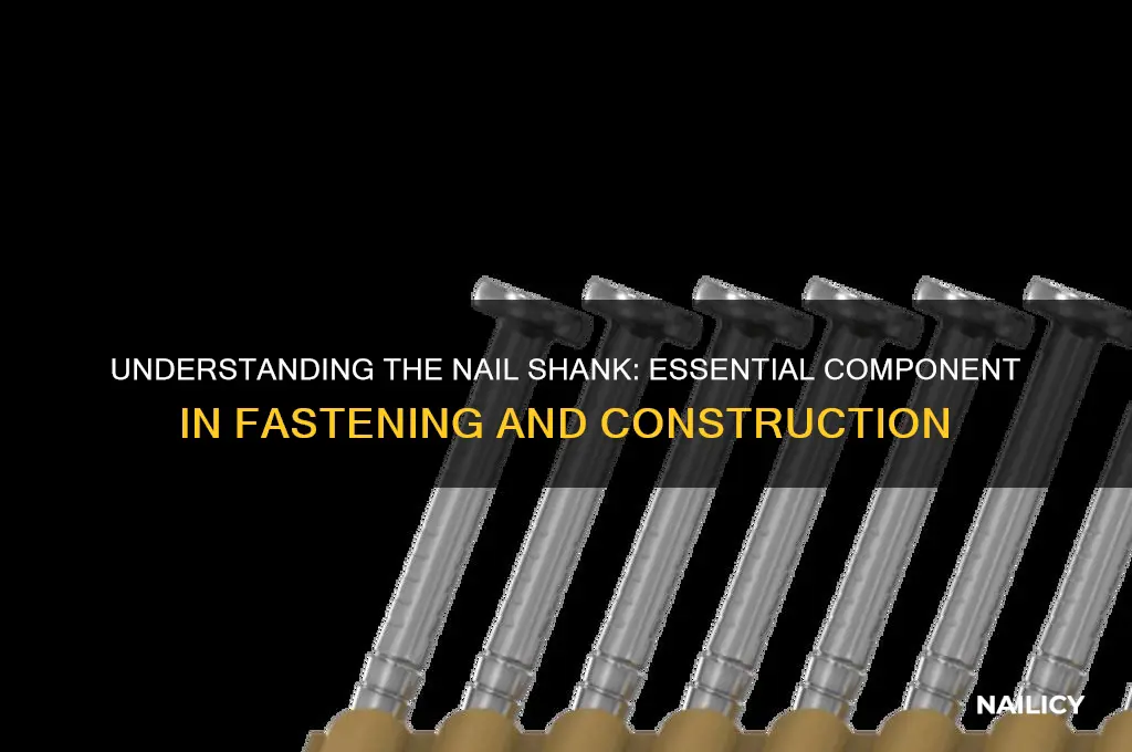 what is a nail shank