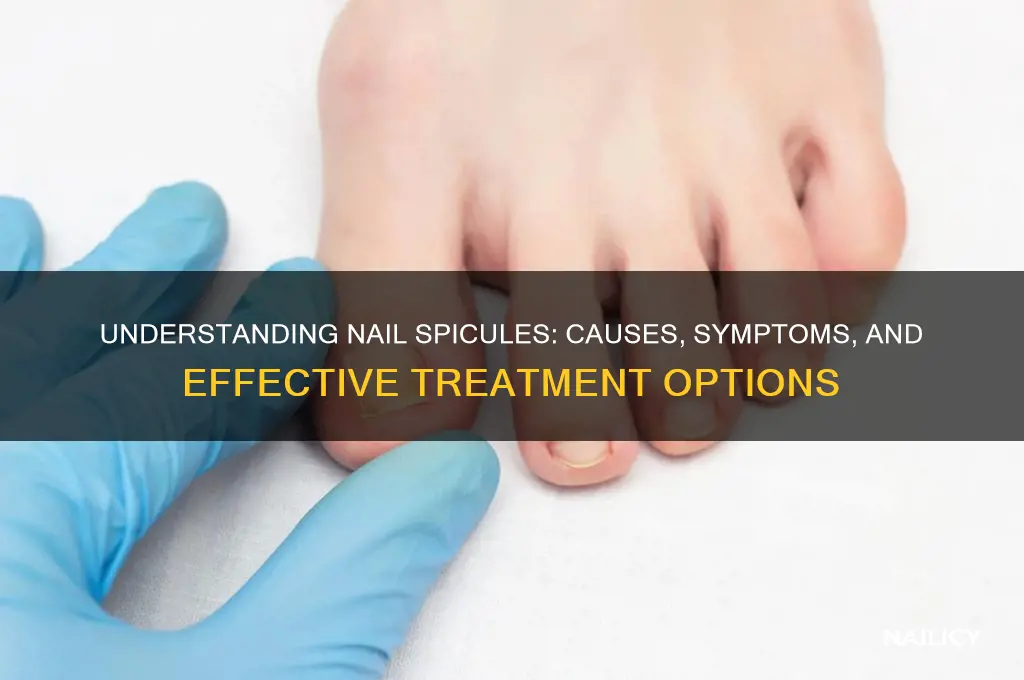what is a nail spicule