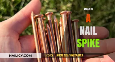 Understanding Nail Spikes: Uses, Installation, and Safety Tips Explained