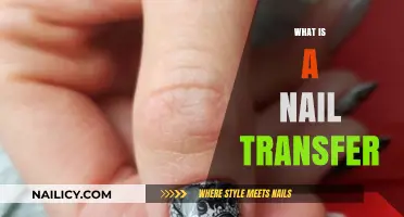 Nail Transfer Explained: Easy, Creative Designs for Stunning Manicures