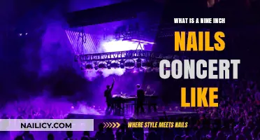 Nine Inch Nails Live: An Intense, Industrial Rock Experience