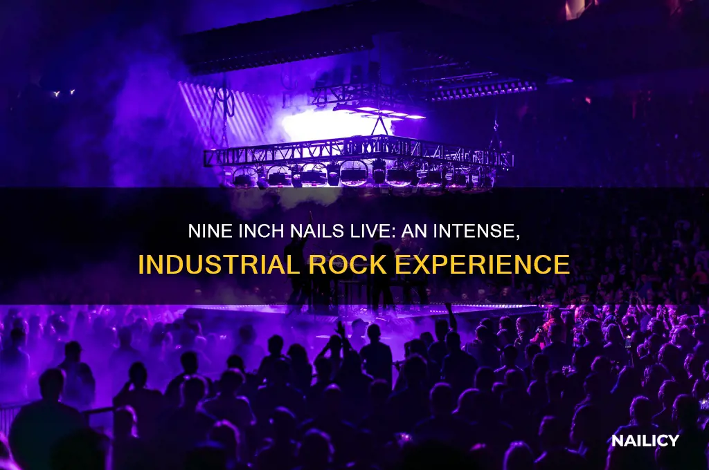 what is a nine inch nails concert like