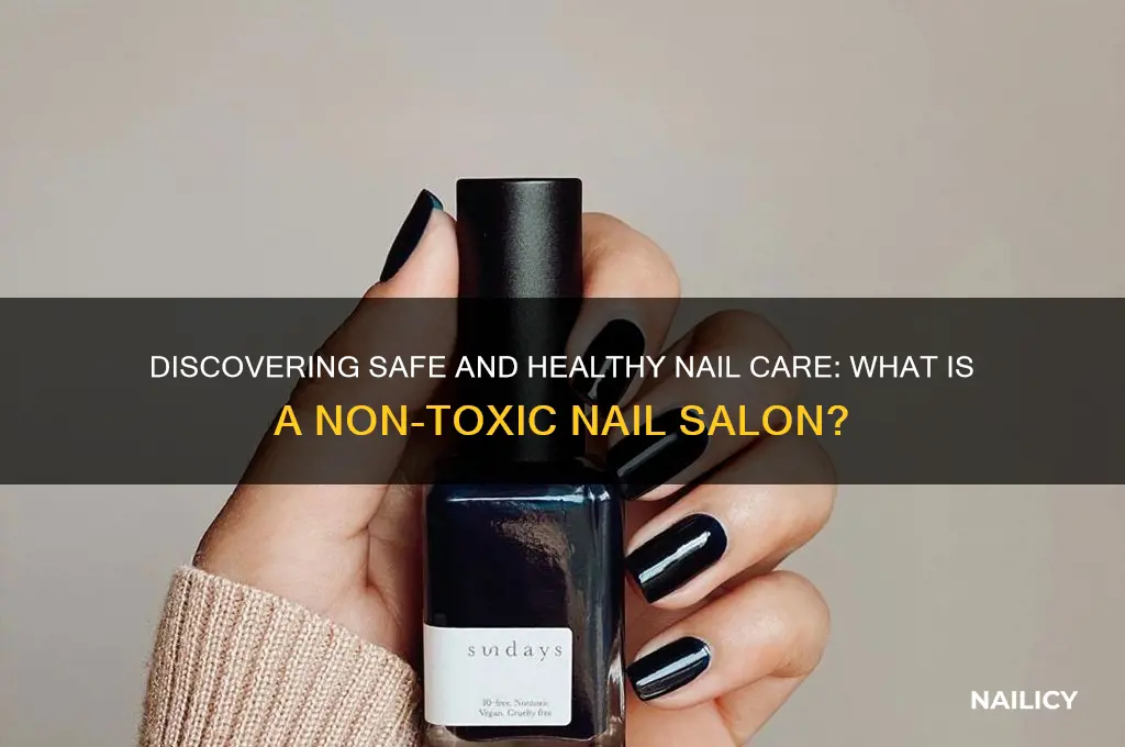 what is a non toxic nail salon