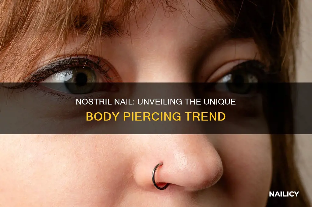 what is a nostril nail