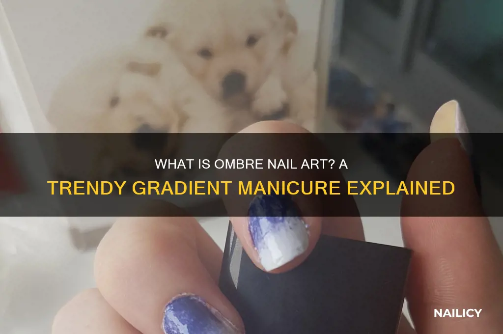 what is a ombre nail