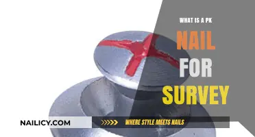 Understanding PK Nails: Essential Tools for Accurate Land Surveying