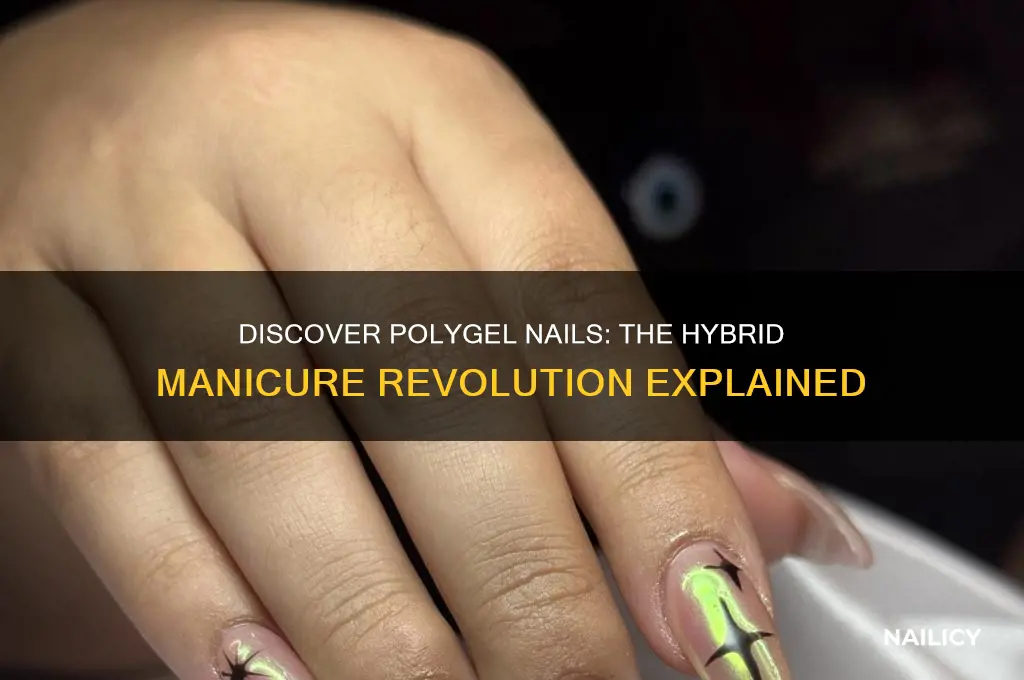 what is a polygel nail