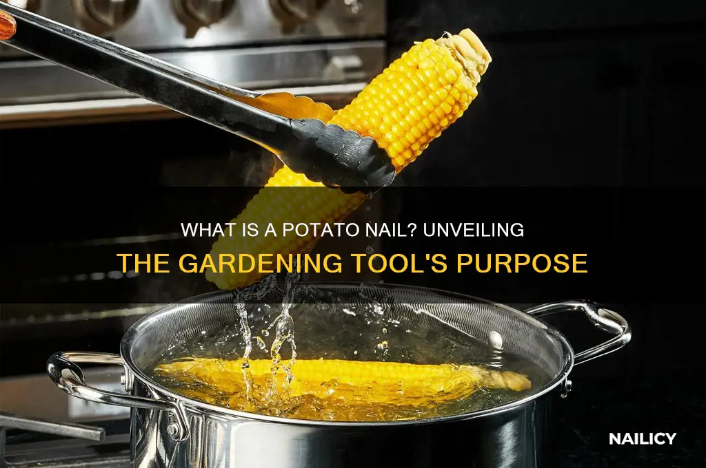 what is a potato nail