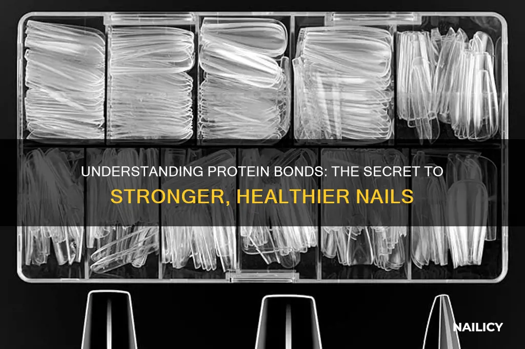 what is a protein bond for nails