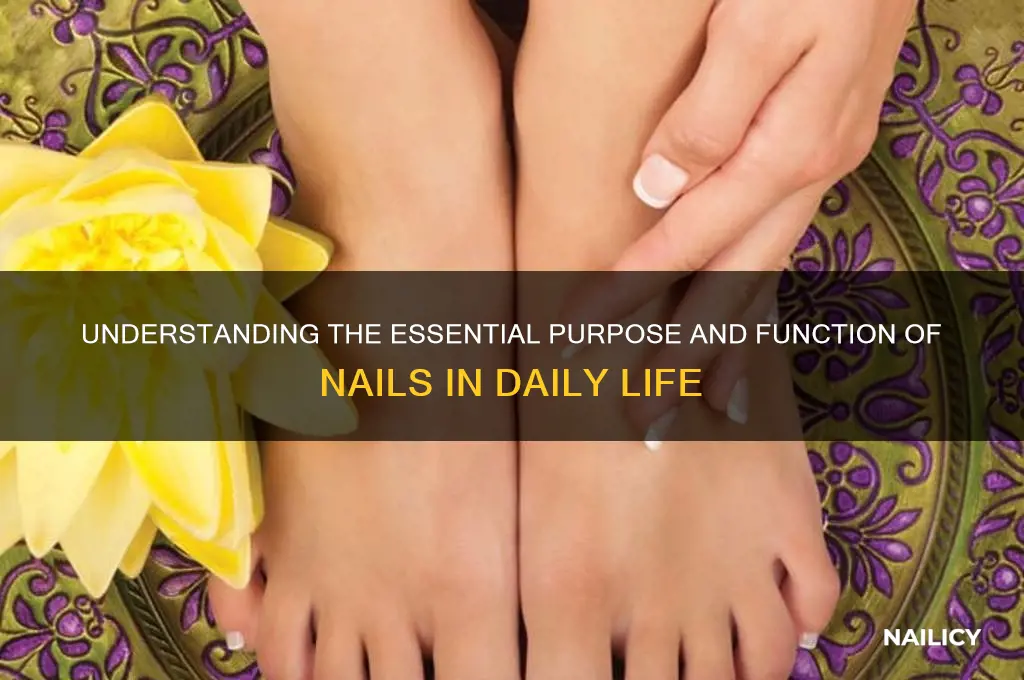 what is a purpose of a nail