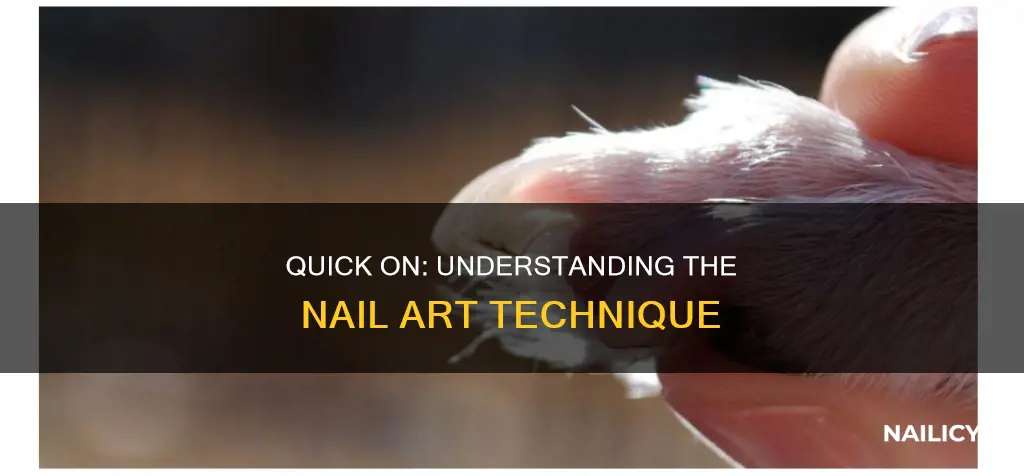 what is a quick on finger nail