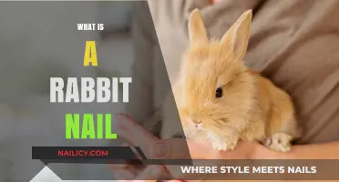 Understanding Rabbit Nail Care: Essential Tips for Healthy Bunny Paws