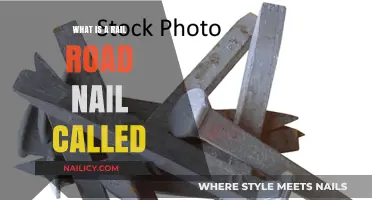 Understanding the Unique Name and Purpose of Railroad Spikes