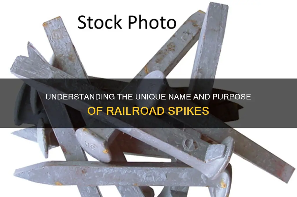 what is a rail road nail called