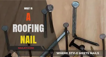 Understanding Roofing Nails: Essential Fasteners for Durable Roof Construction