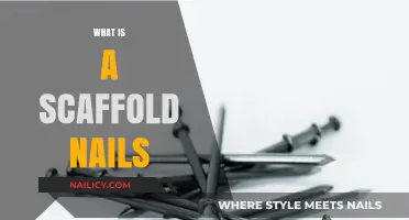 Understanding Scaffold Nails: Uses, Types, and Safety Tips