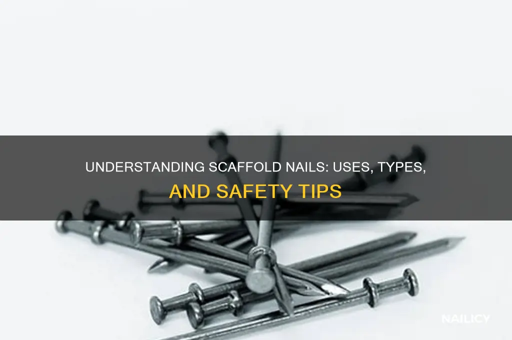 what is a scaffold nails