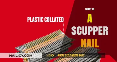 Understanding Scupper Nails: Uses, History, and Applications in Construction