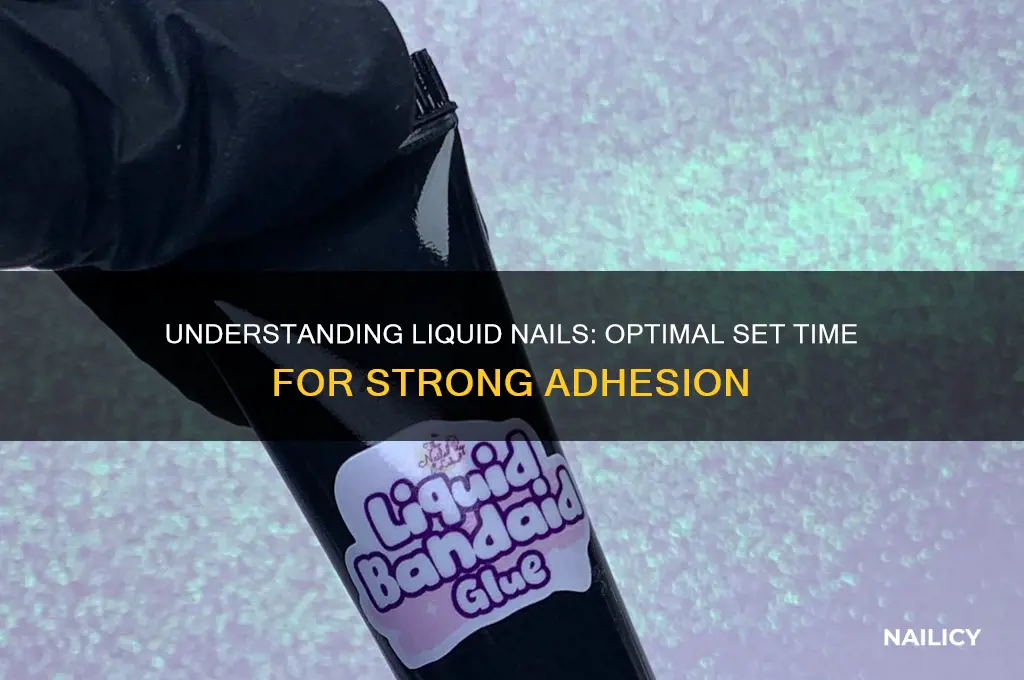 what is a set time of liquid nails