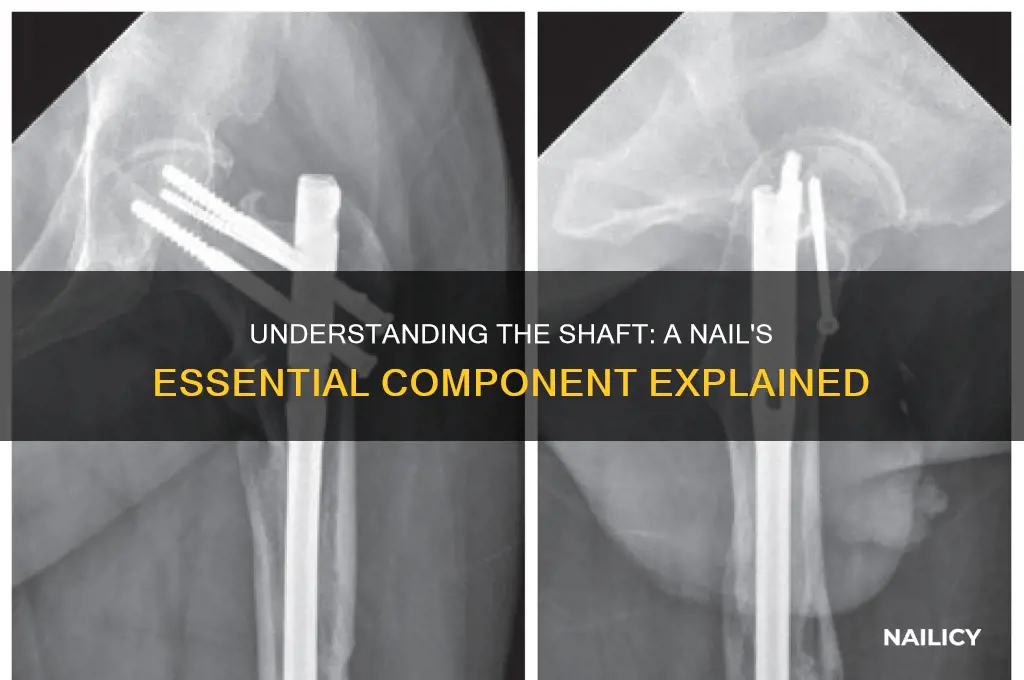 what is a shaft on a nail