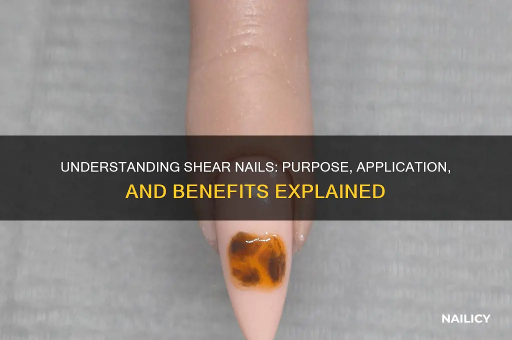 what is a shear nail