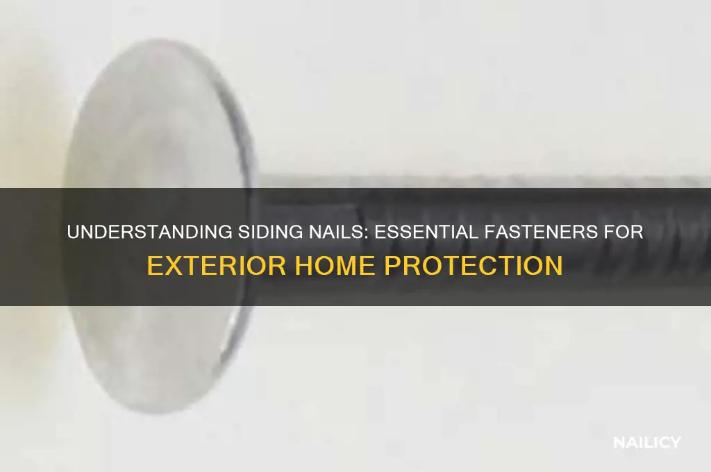what is a siding nail