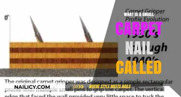What Are Small Carpet Nails Called? A Quick Guide