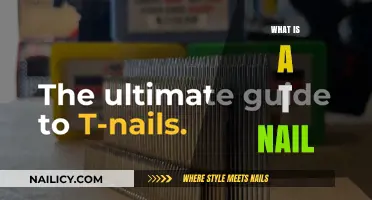 Understanding T Nails: Uses, Benefits, and Applications in Construction