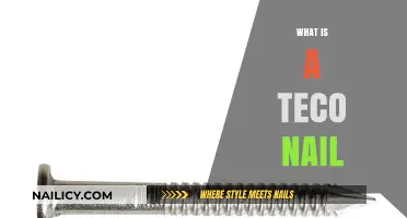 Understanding Teco Nails: Uses, Benefits, and Installation Guide