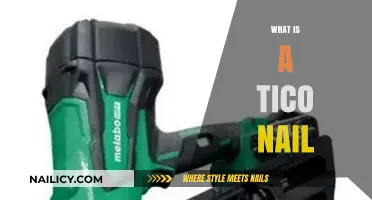 Understanding Tico Nails: Uses, Benefits, and Application Techniques Explained