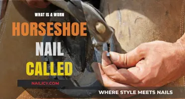 The Unlucky Charm: Unveiling the Name of a Worn Horseshoe Nail