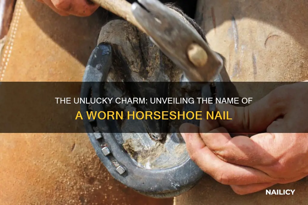 what is a worn horseshoe nail called
