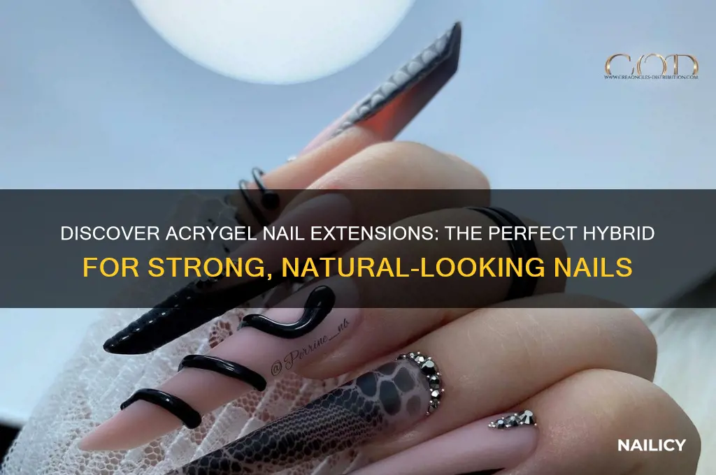 what is acrygel nail extensions