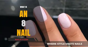 Understanding the 8 Nail: Uses, Types, and Applications Explained