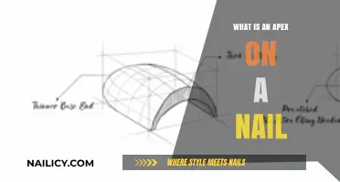 Understanding the Apex: A Crucial Feature on Your Fingernails
