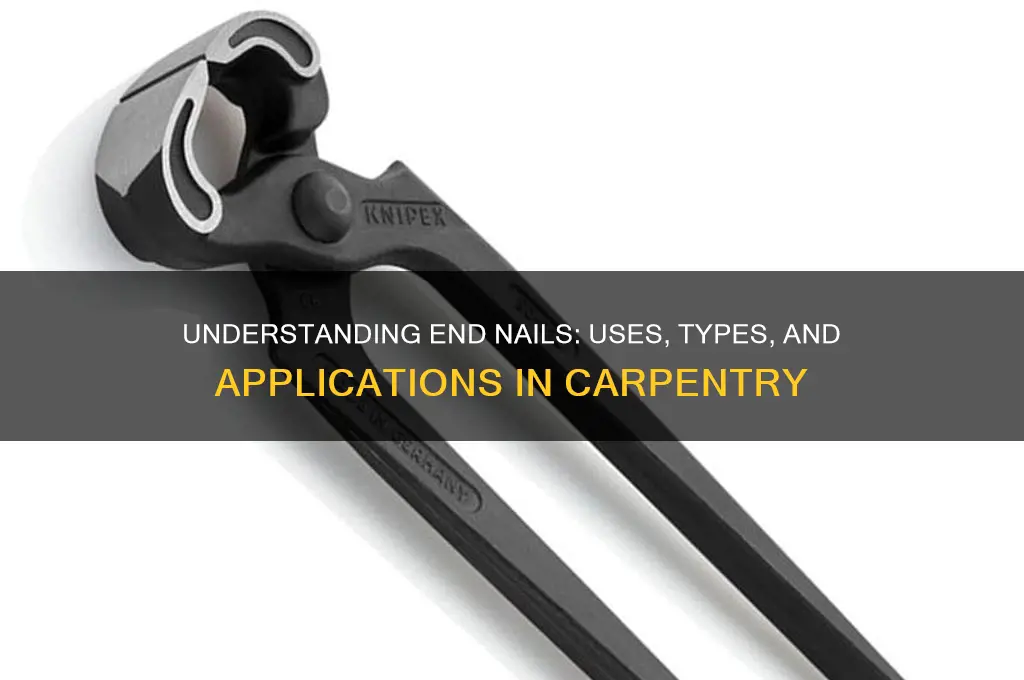 what is an end nail