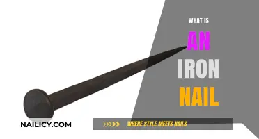 Understanding the Composition and Uses of an Iron Nail