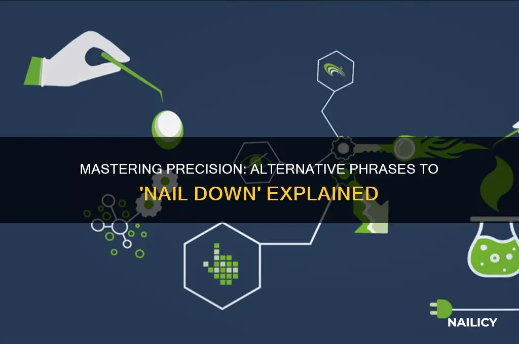 what is another way to say nail down