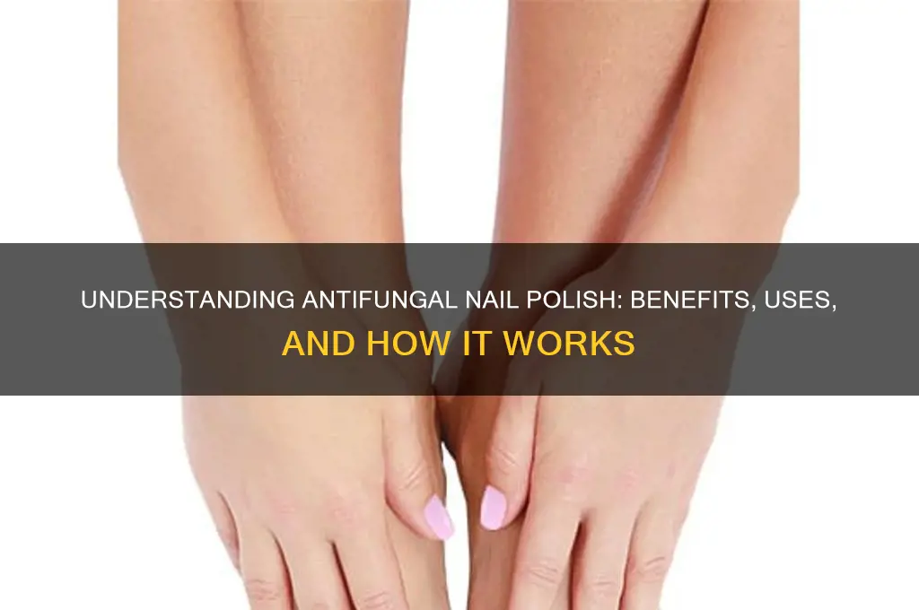 what is antifungal nail polish