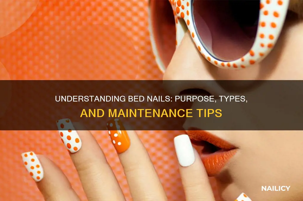 what is bed nail