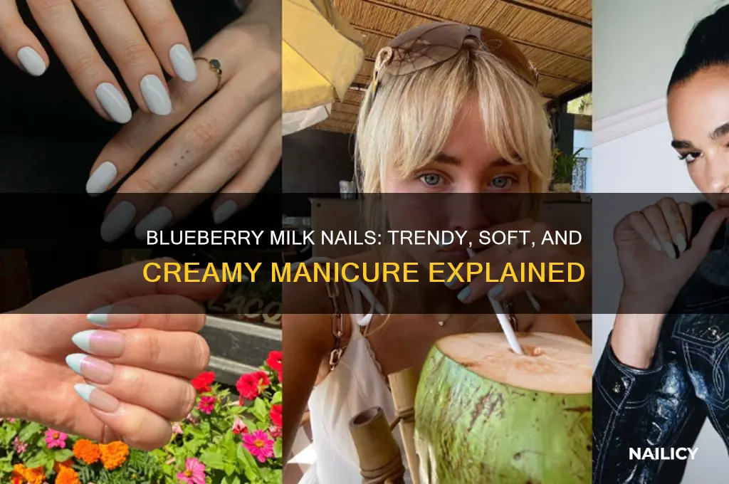 what is blueberry milk nails