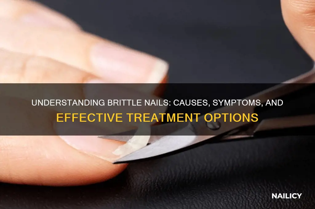 what is brittle nail