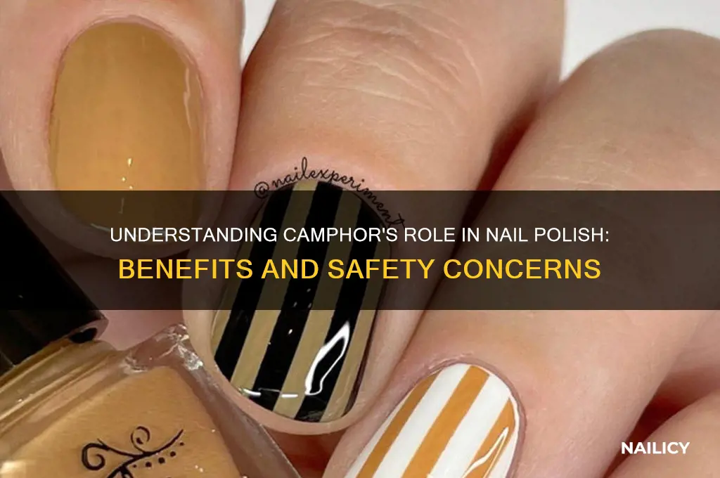 what is camphor in nail polish
