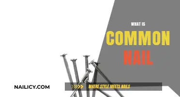 Understanding Common Nails: Uses, Sizes, and Applications in Carpentry