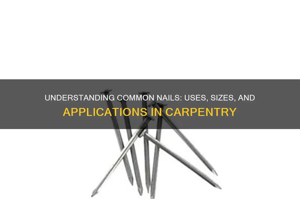 what is common nail