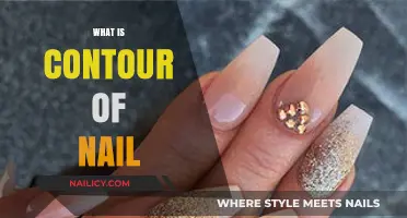 Understanding the Contour of Nail: Shape, Health, and Beauty Insights