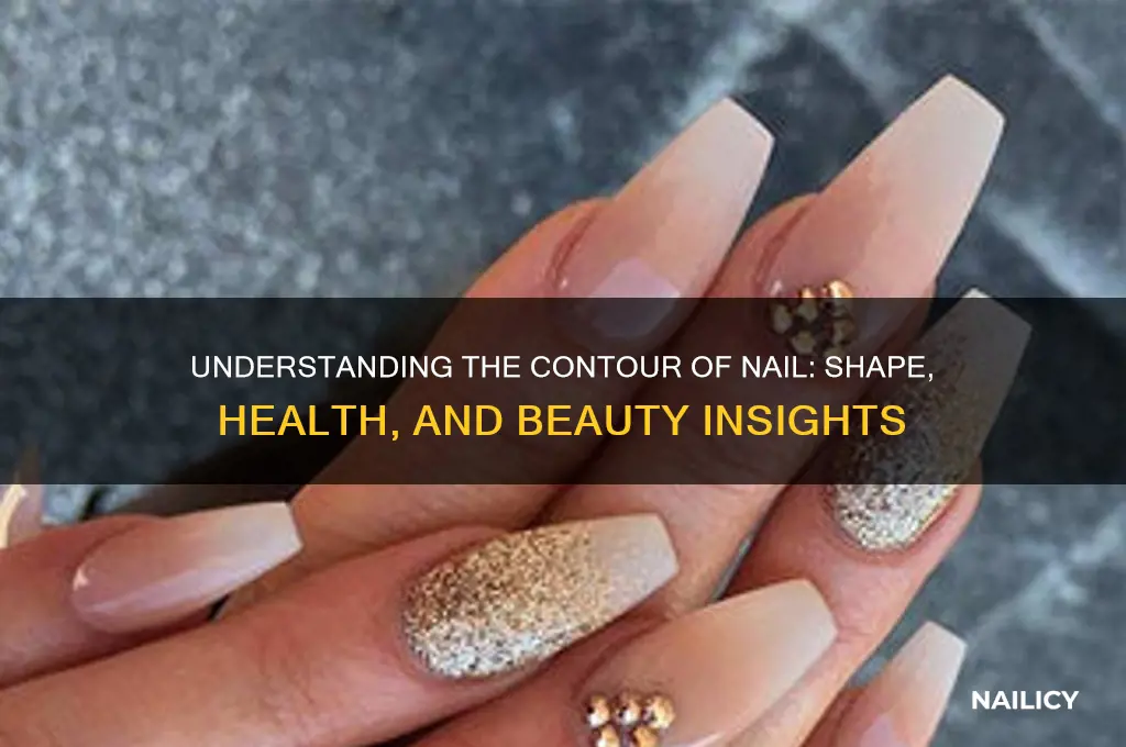 what is contour of nail