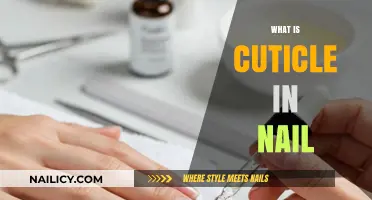 Understanding Nail Cuticles: Their Role, Care, and Importance Explained